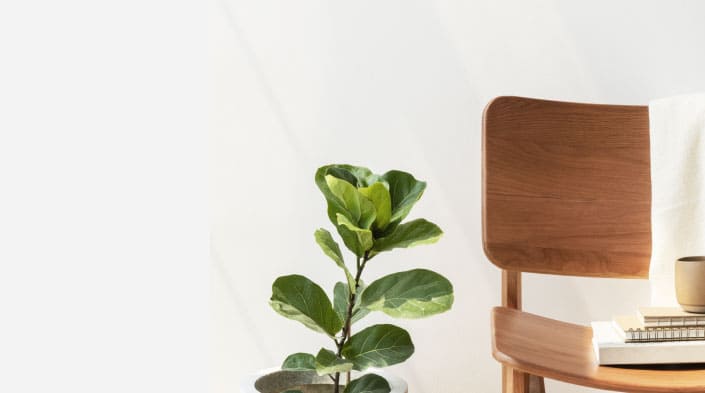 Pronta Consegna poltrone relax, letti box contenitore